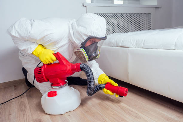 Best Pest Control Near Me in Los Molinos, CA